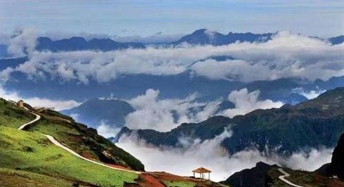 大山包化雪吃瓜,雪中寻瓜，共享冬日暖意