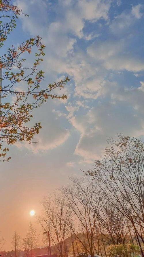 秋风冬雪吃瓜真美,吃瓜真美的四季画卷