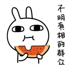 理性吃瓜搞笑文案短句,搞笑文案短句集锦