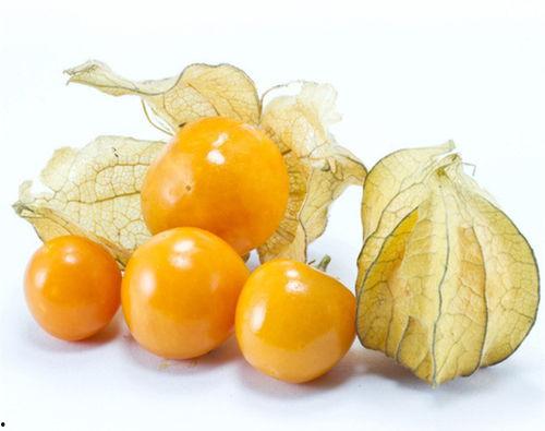 中国女人吃蜜瓜视频