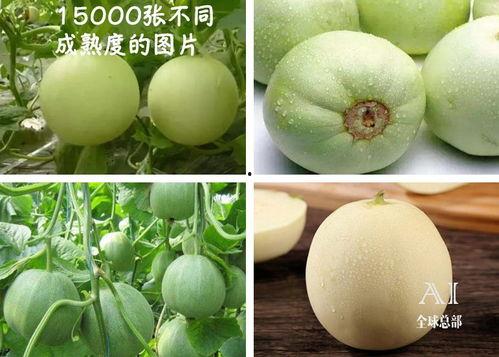 睛儿吃瓜,揭秘娱乐圈那些不为人知的幕后故事