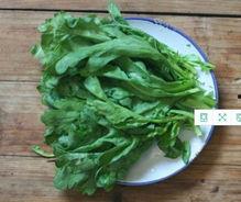 瓠瓜可以和茼蒿一起吃吗,健康美味两不误