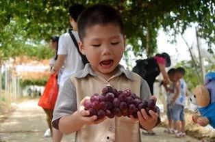 吃瓜群瓜瓜探长,揭秘娱乐圈幕后真相