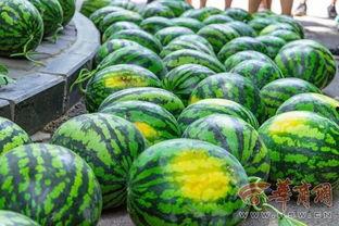 三校吃瓜,吃瓜群众揭秘校园秘闻