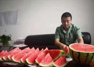 吃瓜热是真的吗,真相还是炒作？