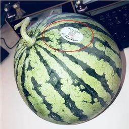 宿州吃瓜网红,带你领略当地美食风情