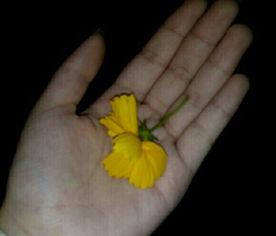 农民吃瓜的视频素材,农民吃瓜视频展现丰收喜悦