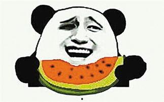 群众意外吃瓜视频素材,网友捕捉到群众欢乐瞬间