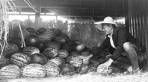 三河吃瓜群众事件视频,一场网络舆论的风暴与反思