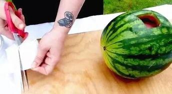 文安吃瓜视频最新,揭秘娱乐圈最新热点事件