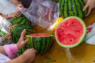 儿童吃瓜视频,宝宝吃瓜视频萌态十足