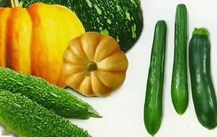 瓜瓜吃瓜完整讲课视频