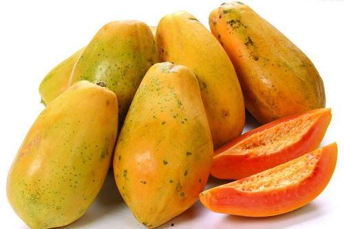 秋天吃瓜的视频,秋季吃瓜视频大盘点