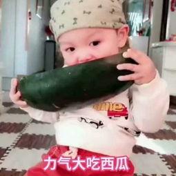 吃瓜老衲视频在线观看,视频在线观看，笑料横生的趣味时光