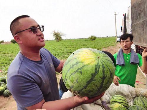 长垣吃瓜新闻事件视频,一场引发热议的街头事件揭秘