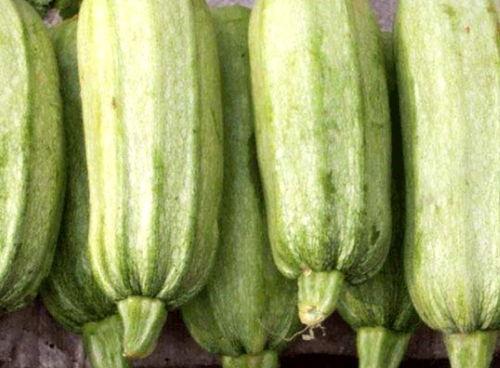 笋瓜吃瓜视频链接网站,趣味无限，欢乐无限