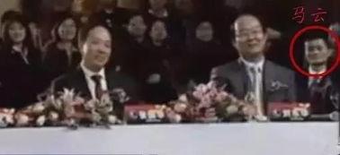 台下老板吃瓜视频大全在线观看,揭秘职场幕后趣闻
